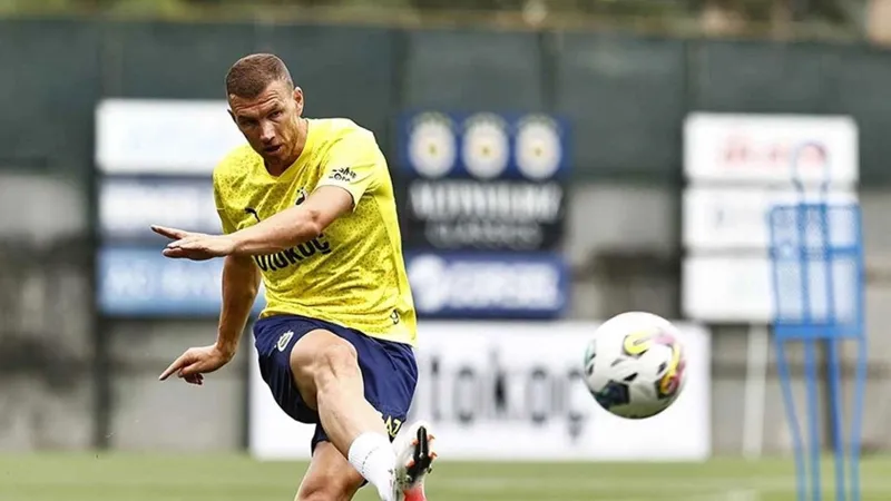 Dzeko ve Hajradinovic Milli Takımda! Süper Lig'den Bosna'ya Çağrı